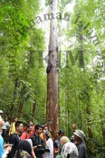 Seminar Jungle Tracking FRIM Seminar Biodiversiti