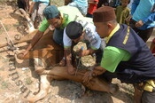 Korban Perdana Bersama DJ IKIMfm