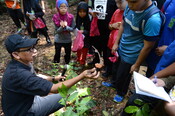 Program "Jr. Ecology Camp"